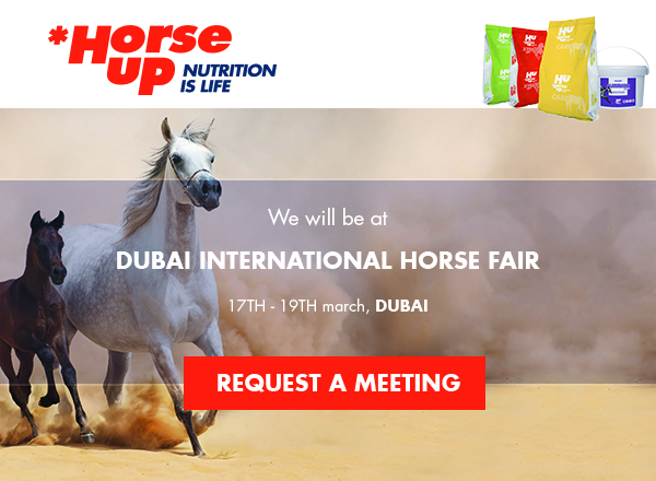 Prochains rendez-vous Horse Up