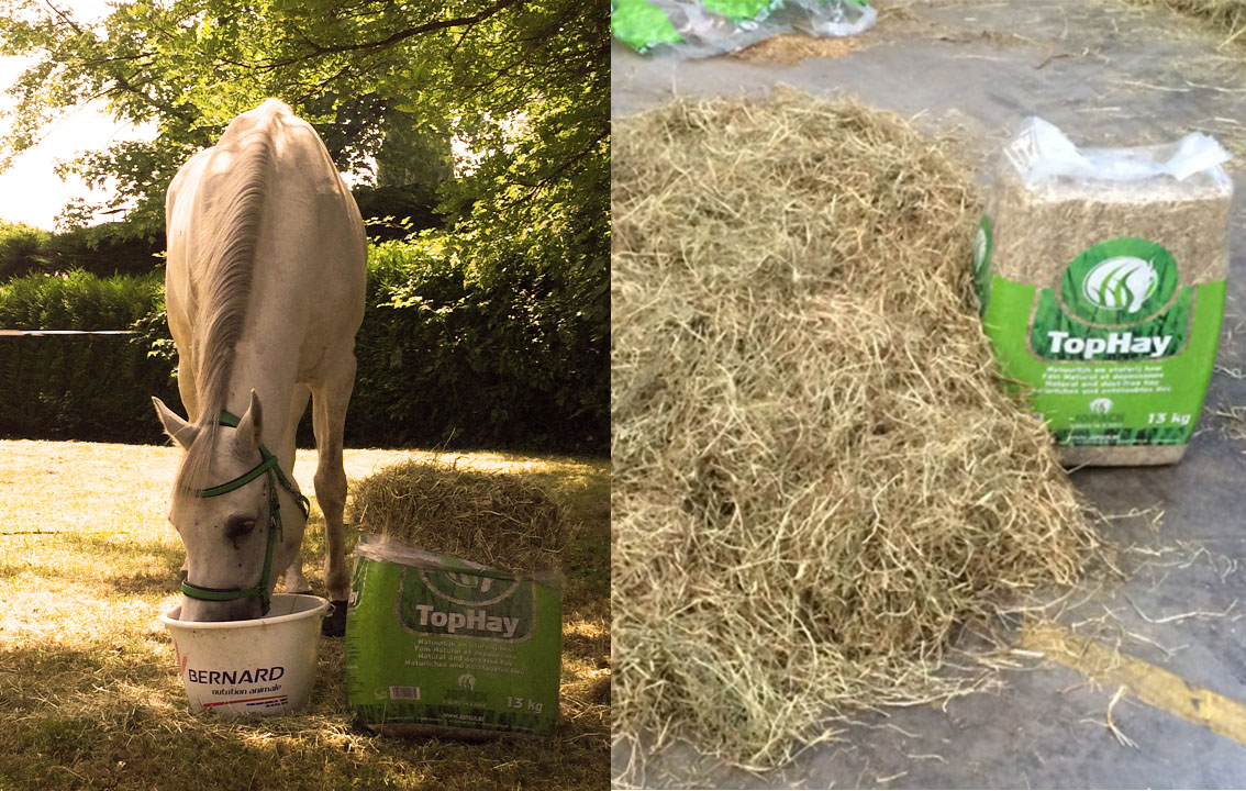 TOP HAY : Foin de prairie en balles