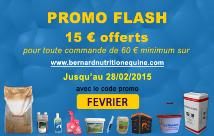 15 euros de remis jusqu'au 28 février 2015
