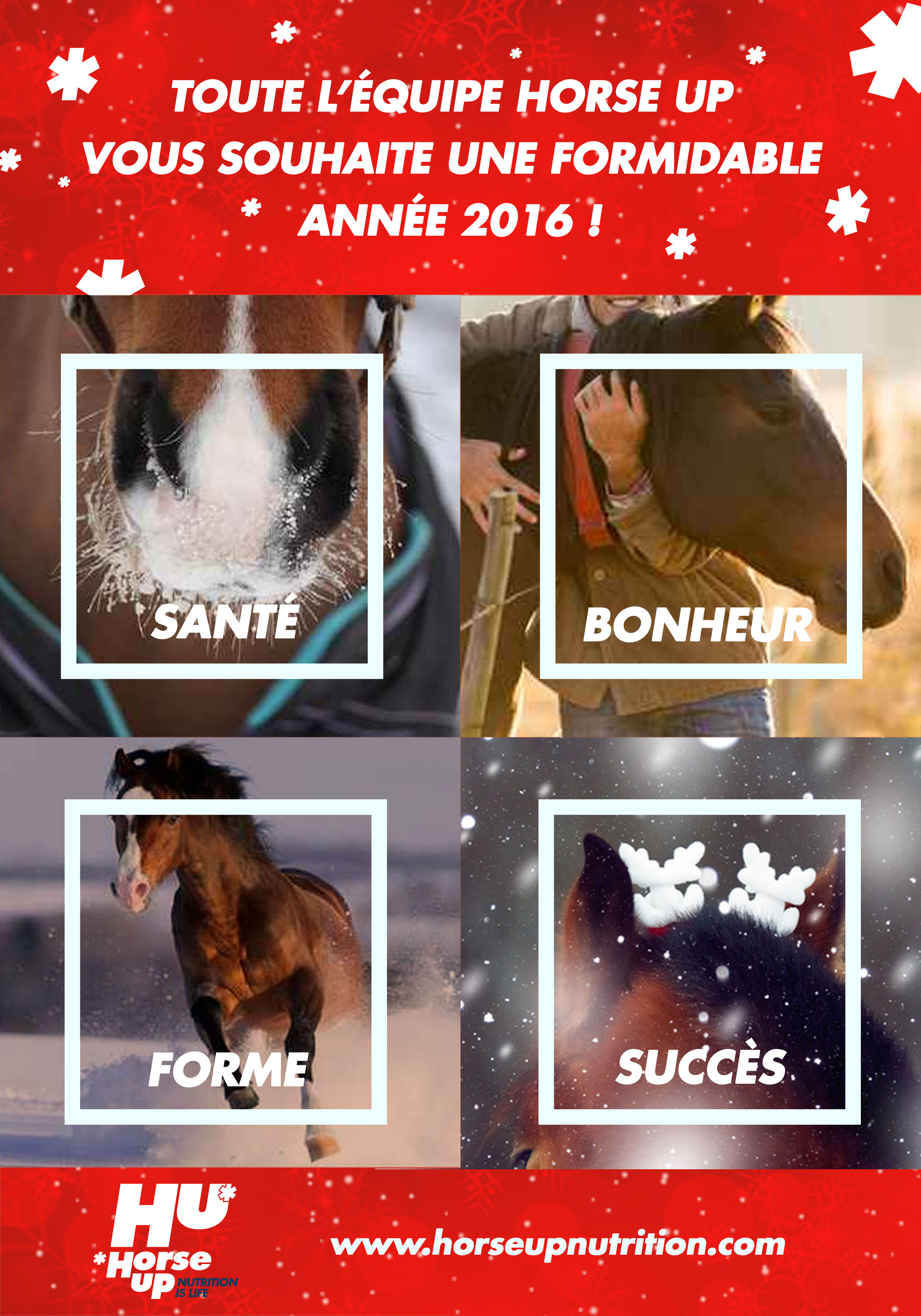 Voeux 2016