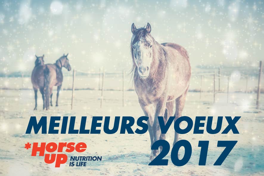 Meilleurs Voeux 2017