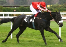 Elevage CONTI