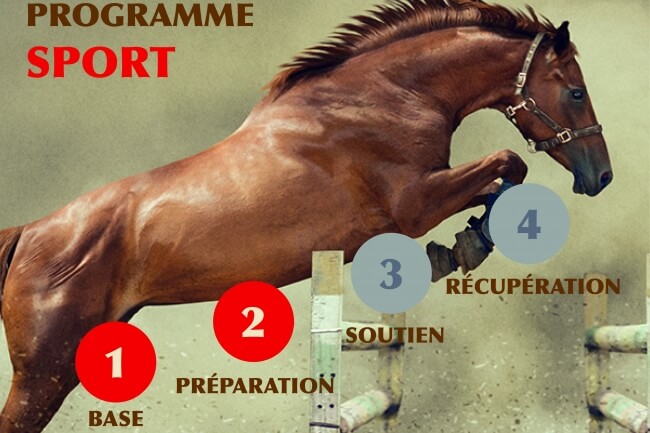 Phases 1 et 2 du programme nutritionnel EDHYA pour chevaux de sport