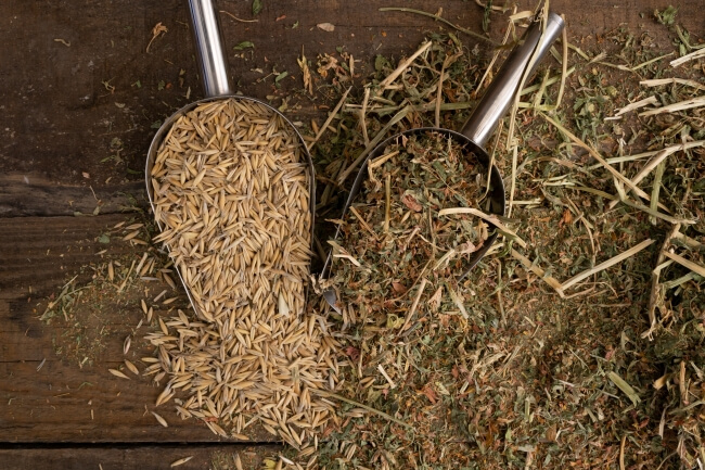 L'intérêt de l'alimentation fibreuse