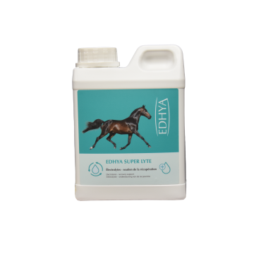 EDHYA SUPER LYTE