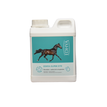 EDHYA SUPER LYTE