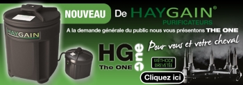 HAYGAIN HG ONE plus