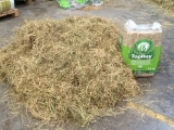 TOP HAY