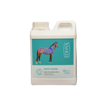 EDHYA DIURE