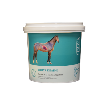 EDHYA DRAINE
