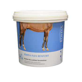 EDHYA FLEX RENFORT