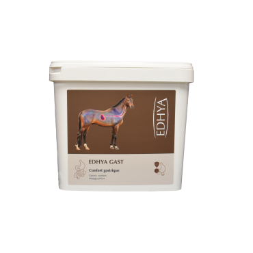 EDHYA GAST