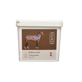EDHYA GAST