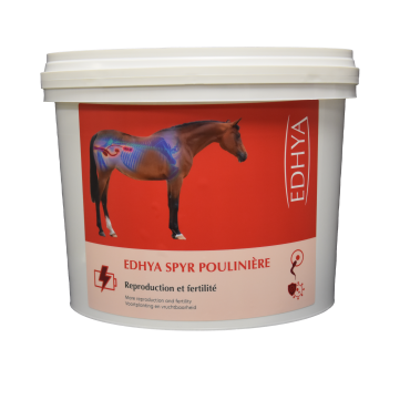 EDHYA SPYR POULINIERE