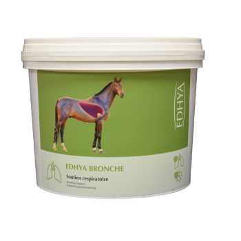 EDHYA BRONCHE