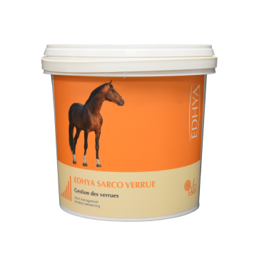 EDHYA VERRUE
