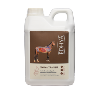 EDHYA TRANSIT