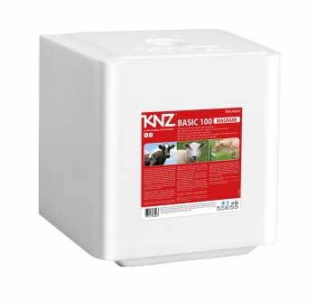 BLOC SEL KNZ MAGNUM BASIC 25KG