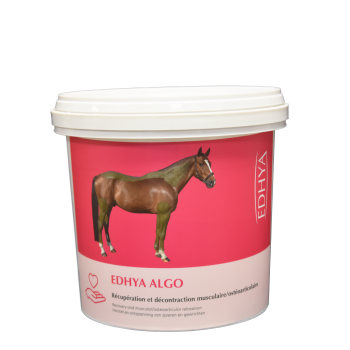 EDHYA ALGO